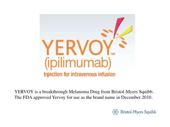 Wordbreeder Rob McDaniel: Portfolio of Naming Work